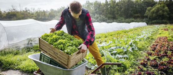 Prorogation de deux&nbsp;cr&eacute;dits d&rsquo;imp&ocirc;t sp&eacute;cifiques aux exploitants agricoles