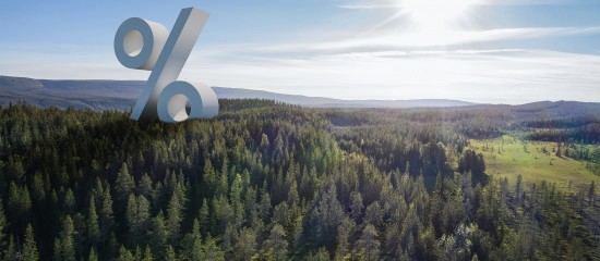 Groupements forestiers&nbsp;: un nouvel indice pour mesurer leurs performances