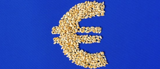 Agriculture : augmentation de plusieurs aides de la Pac au titre de 2024