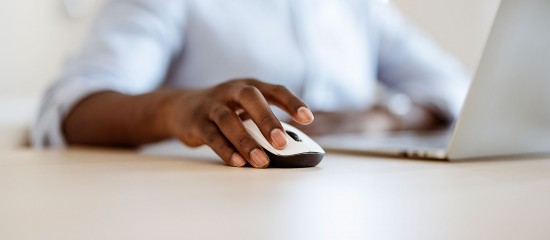 La télécorrection de votre déclaration des revenus 2024 est possible !