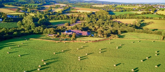Le prix des terres agricoles et viticoles en 2024