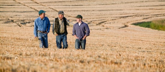 Reprise de terres agricoles données à bail par une société familiale