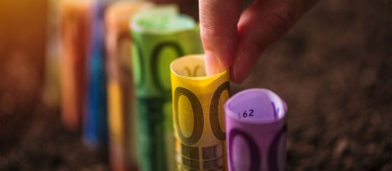 Exploitants agricoles&nbsp;: hausse du montant&nbsp;2025 de plusieurs aides Pac