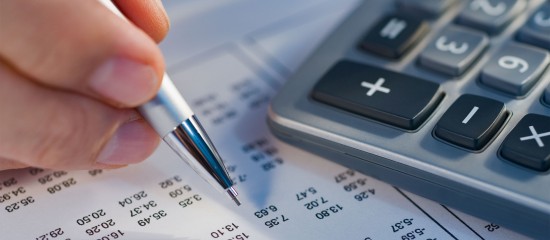 CDHR&nbsp;: le fisc publie de nouveaux outils pour simplifier la d&eacute;claration