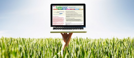 Exploitants agricoles&nbsp;: les modalit&eacute;s d&rsquo;acc&egrave;s &agrave; Telepac sont simplifi&eacute;es