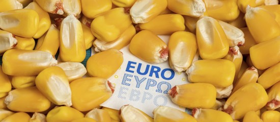 Exploitants agricoles&nbsp;: plus que quelques semaines pour d&eacute;poser votre d&eacute;claration Pac