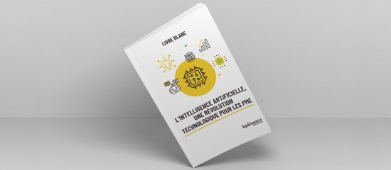 Un livre blanc pour d&eacute;ployer l&rsquo;intelligence artificielle