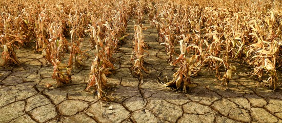 D&eacute;duction pour &eacute;pargne de pr&eacute;caution&nbsp;: les plafonds&nbsp;2026